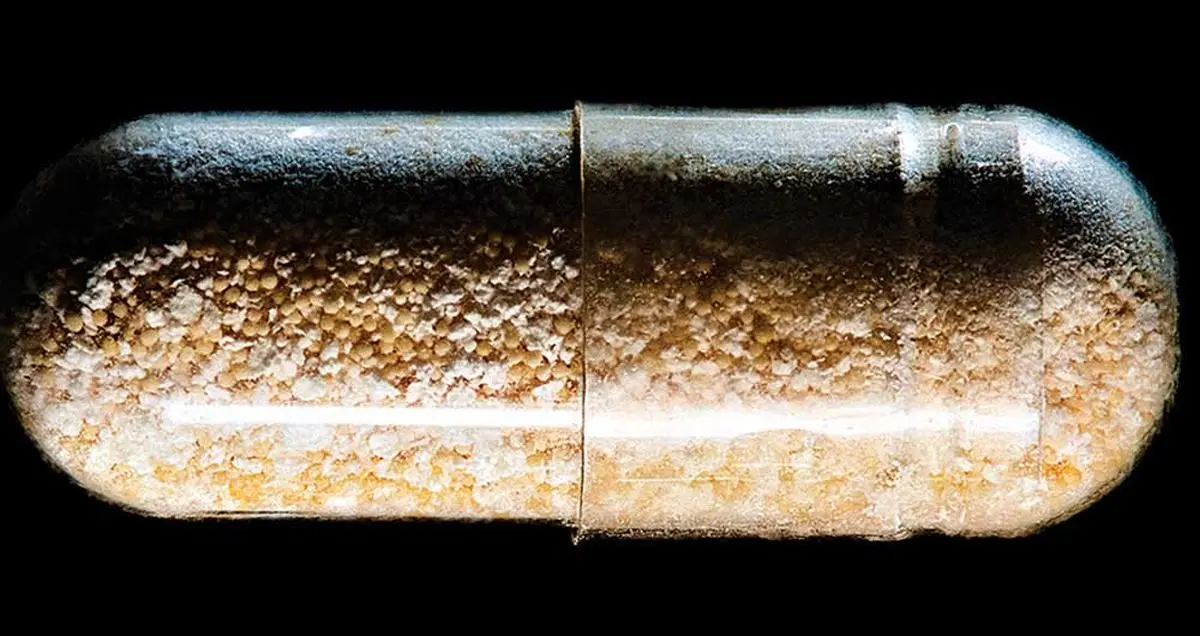 غوغای داروی جوانی Elysium در جهان