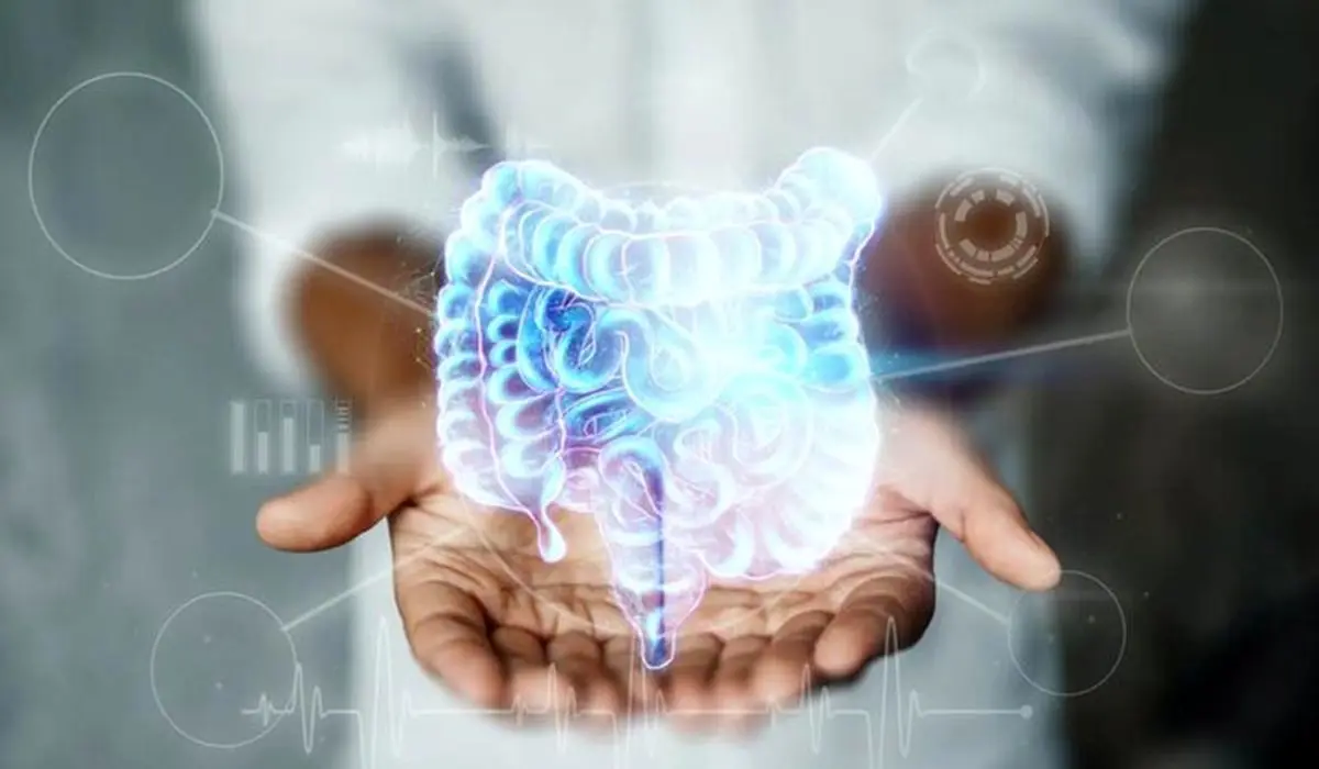 درمان شخصی سازی شده بیماری التهاب روده با تولید شبه اندام کولون
