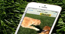 ترفندی برای برش سریع ویدئو در آیفون