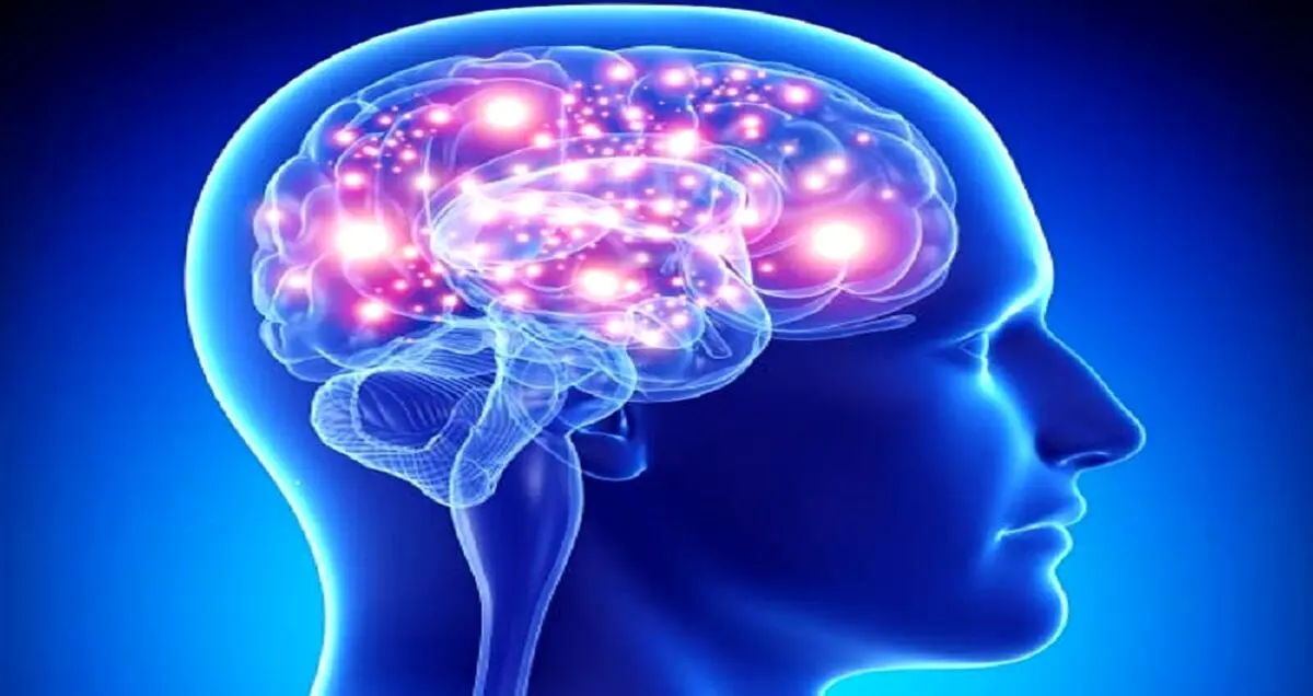 چگونه مغز انسان اهمیت موضوعی را تشخیص می دهد؟
