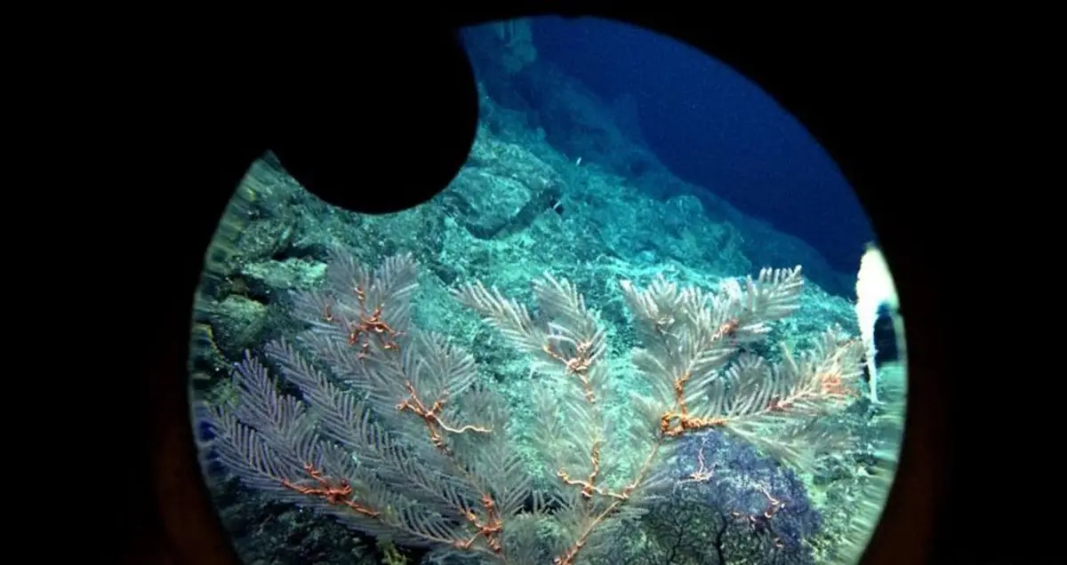 دانشمندان موفق به کشف آتشفشان های زیردریایی شدند