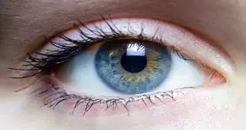 تشخیص انواع بیماری های مغزی از طریق شبکیه چشم