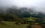 اقدام جالب توجه سامسونگ در ایران