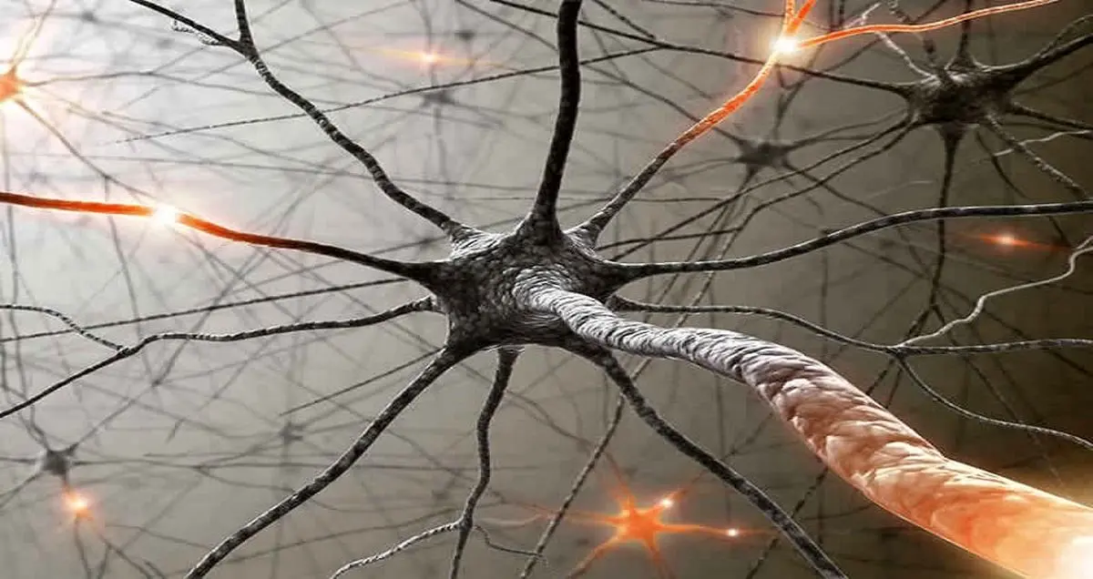 کرونا به عنوان منشا بیماری های عصبی شناخته شد