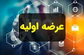 نخستین عرضه اولیه امسال، کشف قیمت شد