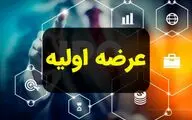 نخستین عرضه اولیه امسال، کشف قیمت شد