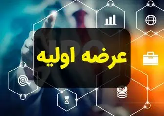 نخستین عرضه اولیه امسال، کشف قیمت شد