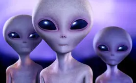 تمرین ارتباط با بیگانگان از طریق گفتگو با نهنگ‌ها!
