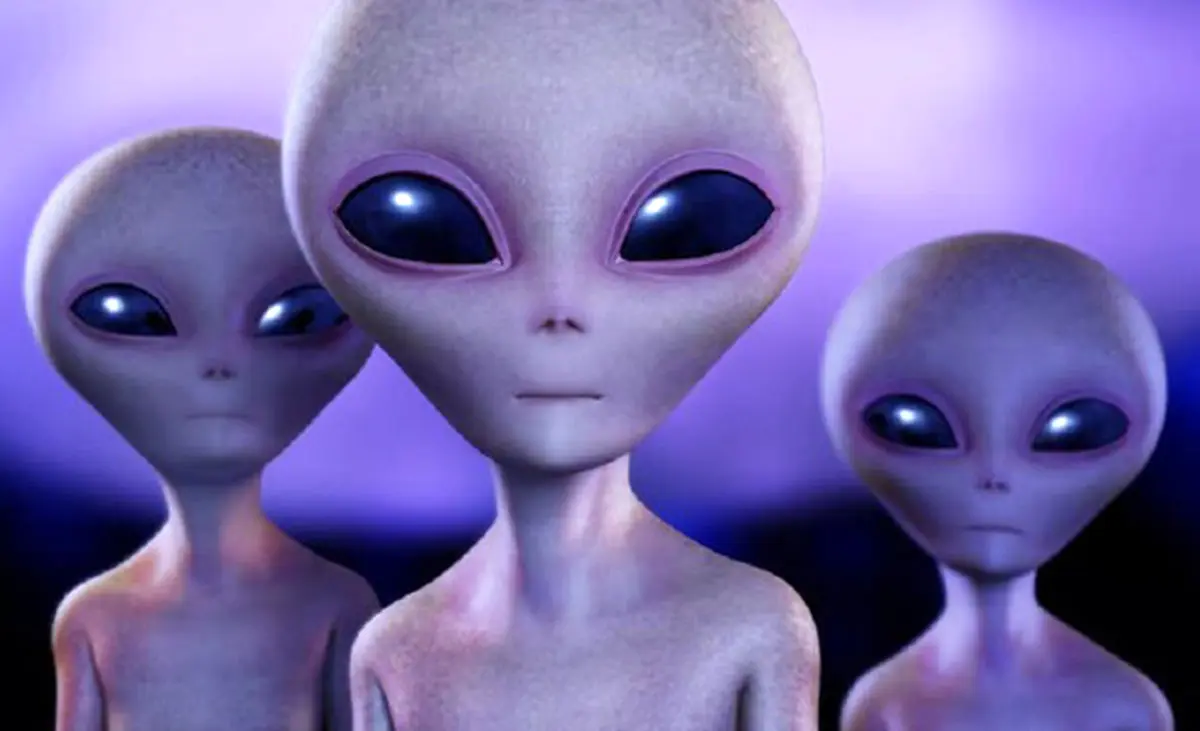 تمرین ارتباط با بیگانگان از طریق گفتگو با نهنگ‌ها!
