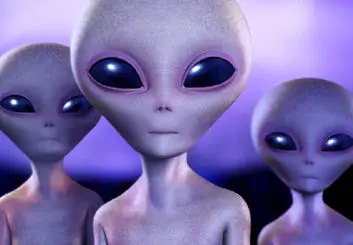 تمرین ارتباط با بیگانگان از طریق گفتگو با نهنگ‌ها!
