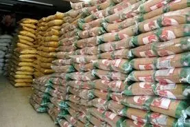 توزیع برنج پاکستانی ۶۶هزار تومانی و پیامدهای پنهان آن