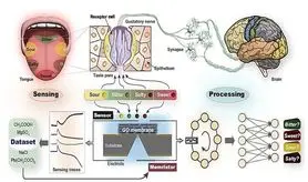 چشیدن هوش مصنوعی با دقت انسان