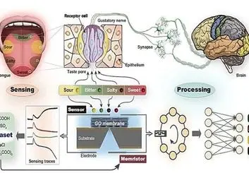 چشیدن هوش مصنوعی با دقت انسان