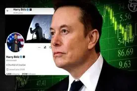 صعود قیمت توکن HARRYBOLZ با تغییر نام ماسک