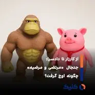 «مرتضی و مرضیه» به جنجالی ملی بدل شد