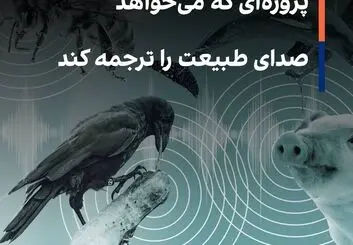هوش مصنوعی مخاطب مستقیم حیوانات می شود