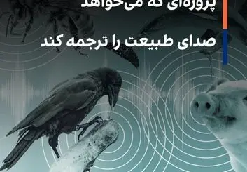 هوش مصنوعی مخاطب مستقیم حیوانات می شود