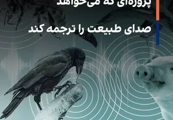 هوش مصنوعی مخاطب مستقیم حیوانات می شود