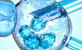 ترمیم ضایعات نخاعی با سلول‌های بنیادی
