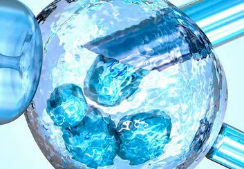 ترمیم ضایعات نخاعی با سلول‌های بنیادی
