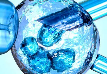 ترمیم ضایعات نخاعی با سلول‌های بنیادی
