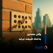 حمایت از گرده‌افشان‌ها با معماری جدید