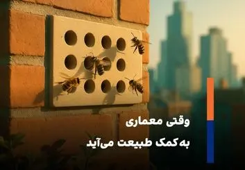 حمایت از گرده‌افشان‌ها با معماری جدید