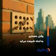حمایت از گرده‌افشان‌ها با معماری جدید