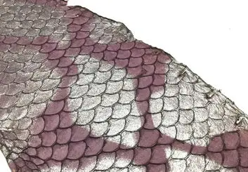 خاصیت شفابخش پوست ماهی تیلاپیا
