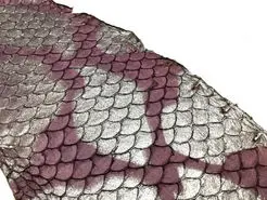 خاصیت شفابخش پوست ماهی تیلاپیا
