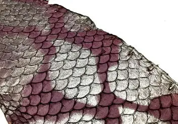 خاصیت شفابخش پوست ماهی تیلاپیا
