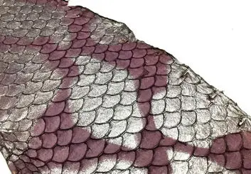 خاصیت شفابخش پوست ماهی تیلاپیا
