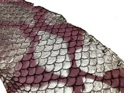 خاصیت شفابخش پوست ماهی تیلاپیا
