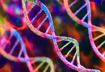 ساخت کروموزوم مصنوعی انسان 