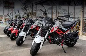 کسب بالاترین امتیازات شاخص‌های ISQI تیم خدمات پس از فروش نیکران موتور پاسارگاد 