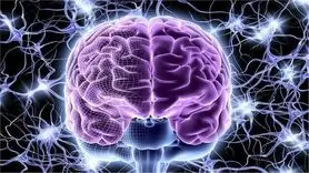 کشف عامل ابتلا به آلزایمر در سیستم ایمنی مغز