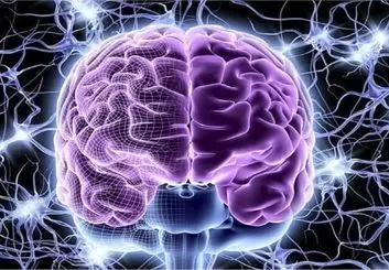 کشف عامل ابتلا به آلزایمر در سیستم ایمنی مغز