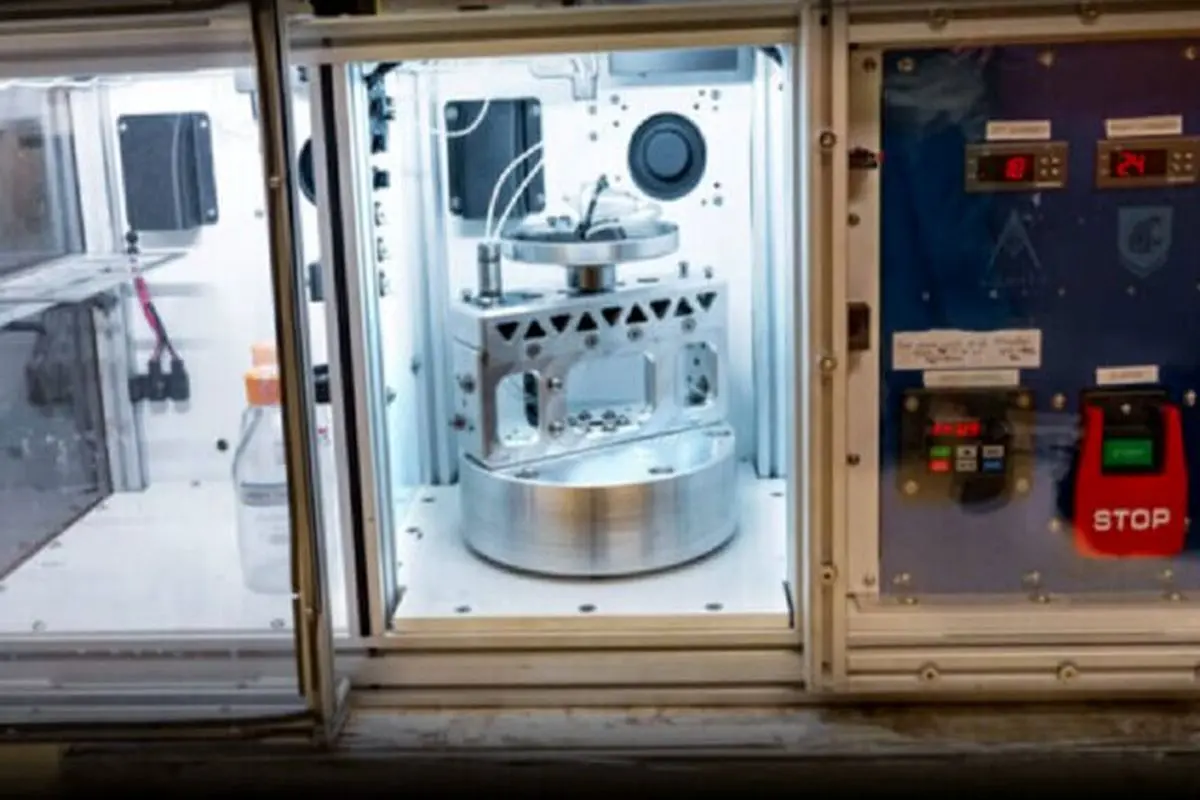 رآکتور زیستی کوچکی که می‌تواند به مبارزه با سرطان کمک کند
