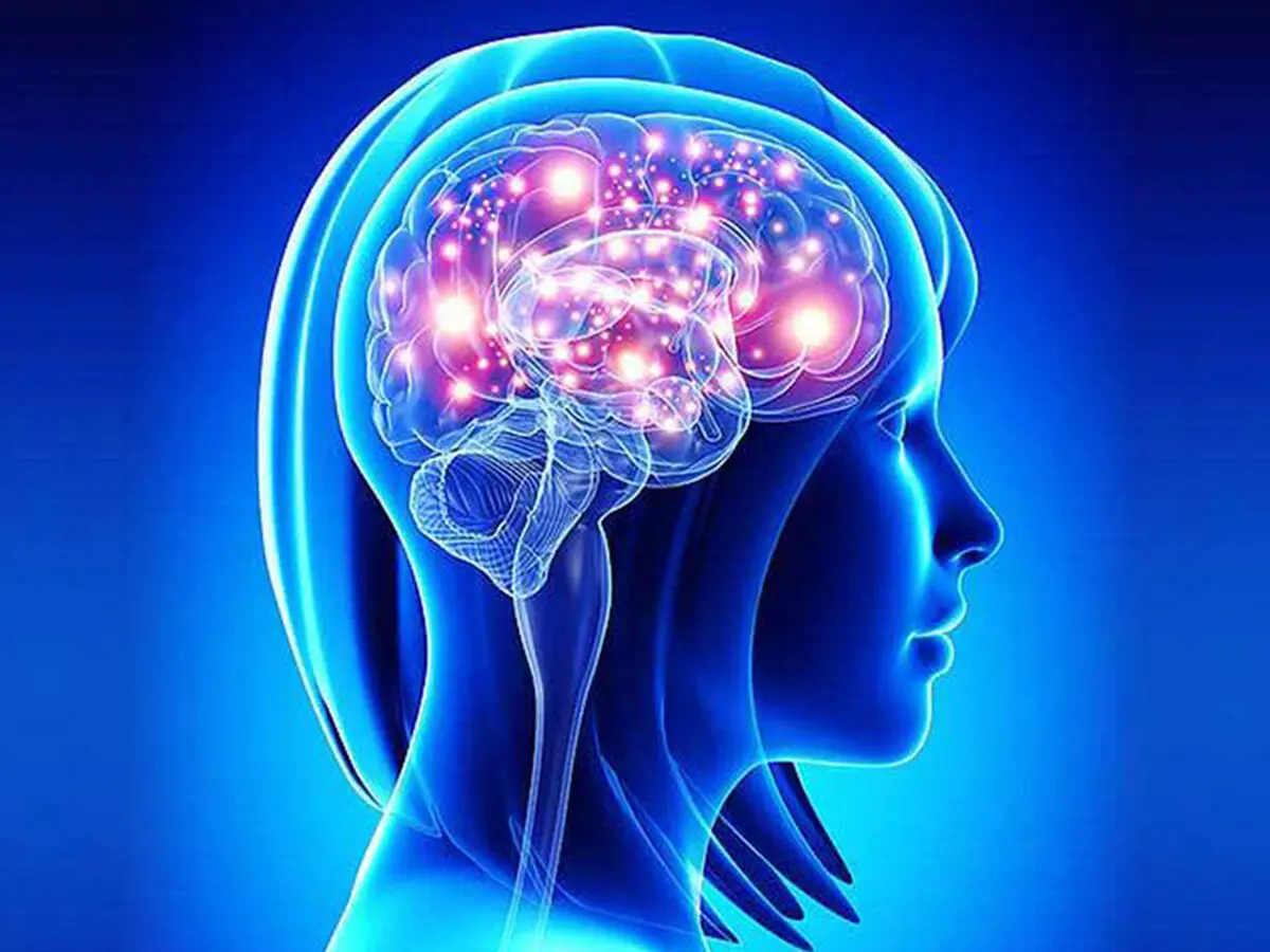 محدودیت جالبی که مغز ما در شمارش اجسام دارد
