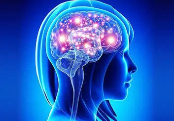 محدودیت جالبی که مغز ما در شمارش اجسام دارد
