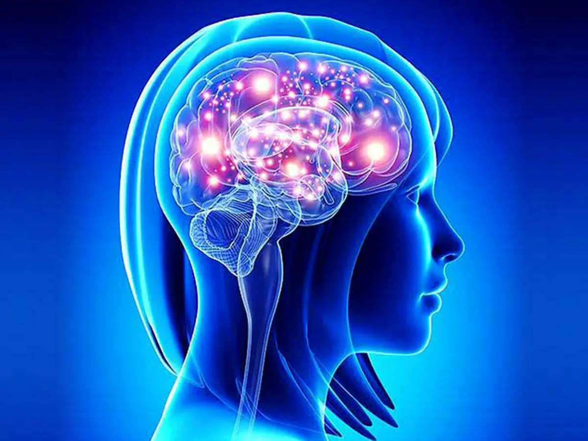 محدودیت جالبی که مغز ما در شمارش اجسام دارد
