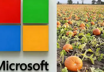 مایکروسافت 76 میلیون دلار برای خرید یک مزرعه کدو تنبل پرداخت کرد

