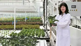 ساخت اولین مزرعه رباتیک ۲۰ طبقه‌ای جهان
