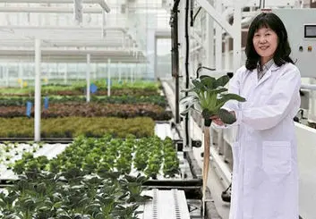 ساخت اولین مزرعه رباتیک ۲۰ طبقه‌ای جهان
