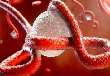 ویروسی که با ایجاد نانولوله‌ها بین‌ سلول‌ها مخفی شده و حرکت می‌کند
