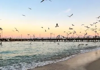 آغاز فروش تورهای زمستانی کیش