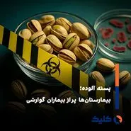 تا اطلاع ثانوی از خوردن پسته خودداری کنید