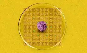 دانشمندان از ترکیب بافت مغز با قطعات الکترونیکی، بیوکامپیوتر ساختند