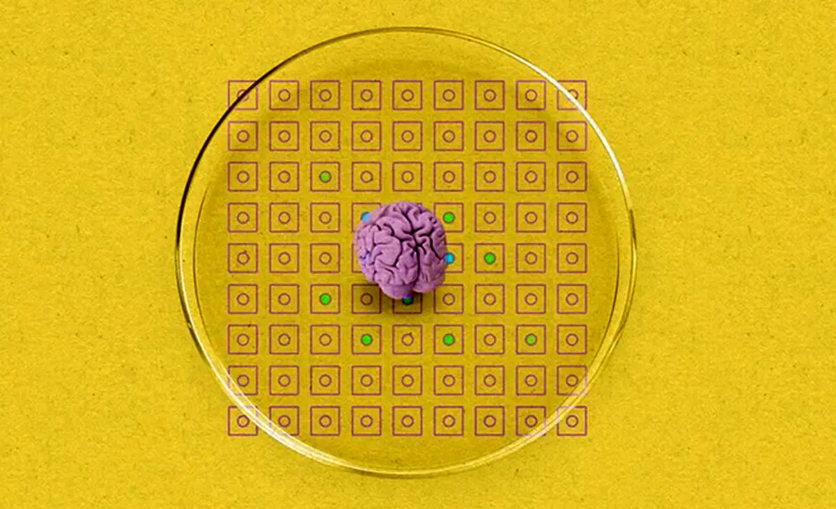دانشمندان از ترکیب بافت مغز با قطعات الکترونیکی، بیوکامپیوتر ساختند