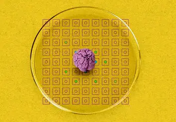 دانشمندان از ترکیب بافت مغز با قطعات الکترونیکی، بیوکامپیوتر ساختند
